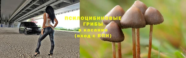 молекула духа Баксан