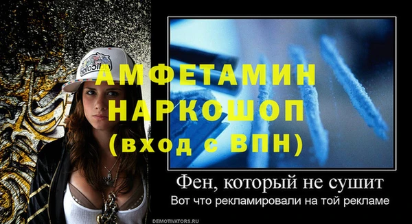 молекула духа Балахна