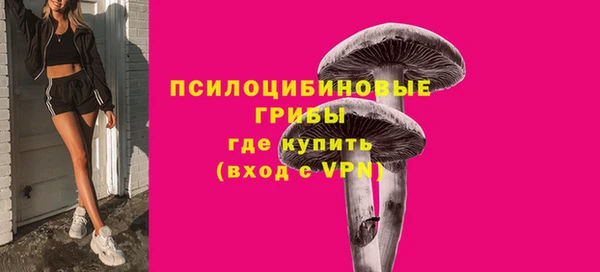 молекула духа Баксан