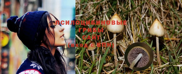молекула духа Баксан