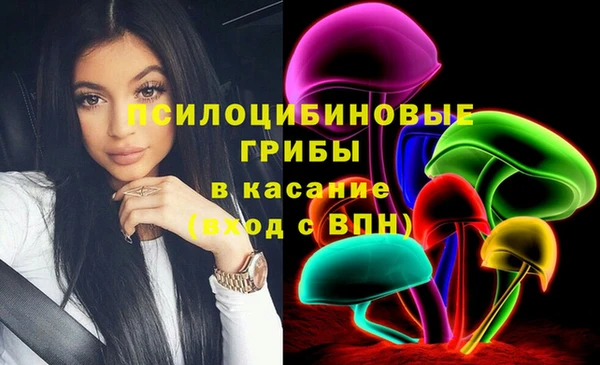 молекула духа Балахна