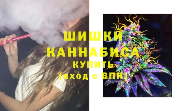 молекула духа Балахна