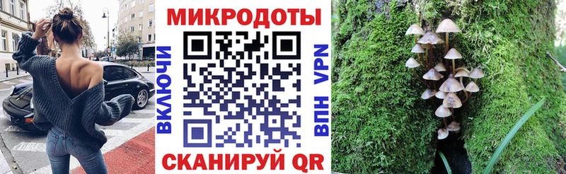 Псилоцибиновые грибы Cubensis  что такое наркотик  Соль-Илецк 